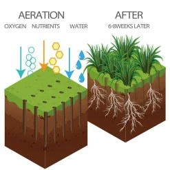 15-Tine Spike Aerator by WaLansee 13 15-Tine Spike Aerator by WaLansee -GARDEN TOOLS Shop aerators gt lca006 44 1000