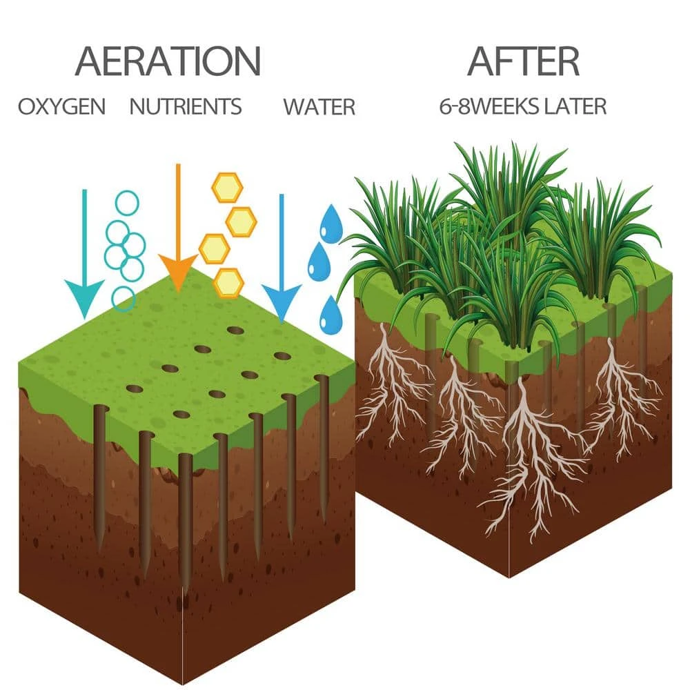 15-Tine Spike Aerator by WaLansee 7 15-Tine Spike Aerator by WaLansee - Image 5