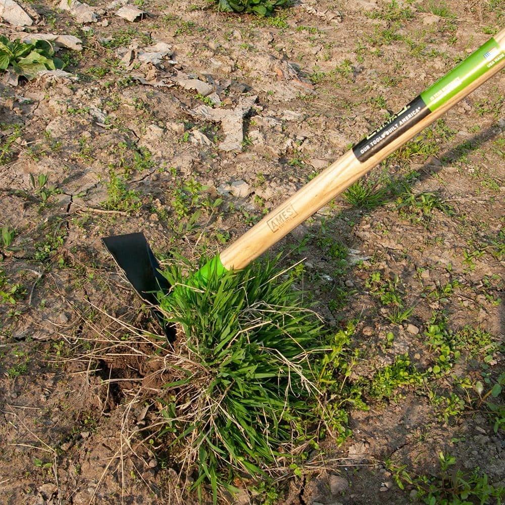 2-Prong Weeder Hoe by Ames 7 2-Prong Weeder Hoe by Ames - Image 5