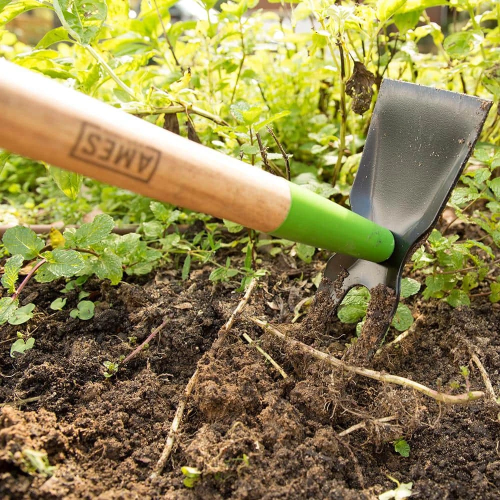 2-Prong Weeder Hoe by Ames 5 2-Prong Weeder Hoe by Ames - Image 3