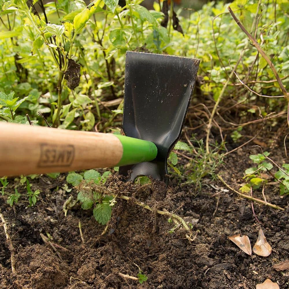 2-Prong Weeder Hoe by Ames 8 2-Prong Weeder Hoe by Ames - Image 6