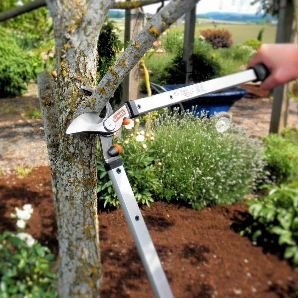 26 in. Double-Bumper Bypass Horticultural Lopper by BARNEL USA 4 26 in. Double-Bumper Bypass Horticultural Lopper by BARNEL USA - Image 2