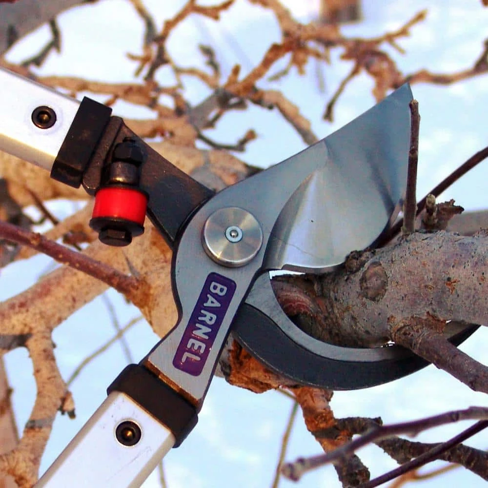 26 in. Professional Orchard By-Pass Lopper by BARNEL USA 4 26 in. Professional Orchard By-Pass Lopper by BARNEL USA - Image 2