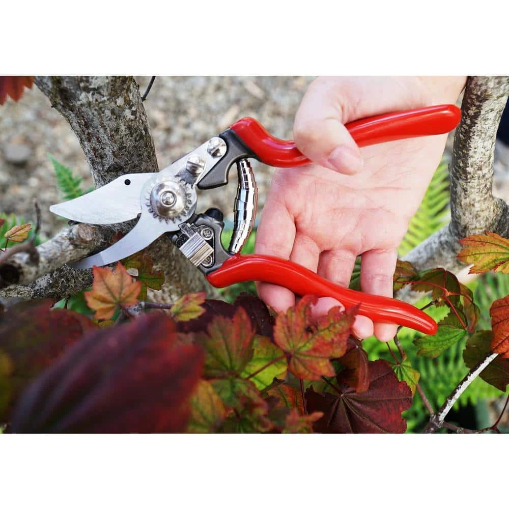 Heavy-Duty Forged By-Pass Pruner with Pin Bearing by BARNEL USA 4 Heavy-Duty Forged By-Pass Pruner with Pin Bearing by BARNEL USA - Image 2