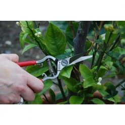 2 in. Stainless Steel Blade with Lightweight Red Handles Hydroponic Scissors by Corona -GARDEN TOOLS Shop corona pruning shears fs 4130 c3 1000