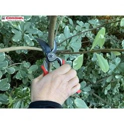 ProCUT 3 in. High Carbon Steel Blade with Full Steel Core Handles Bypass Hand Pruner by Corona -GARDEN TOOLS Shop corona tree pruners bp 7200cch 4f 1000