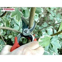 ProCUT 3 in. High Carbon Steel Blade with Full Steel Core Handles Bypass Hand Pruner by Corona -GARDEN TOOLS Shop corona tree pruners bp 7200cch c3 1000