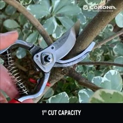 ClassicCUT 2.625 in. High Carbon Steel Blade with Full Steel Core Handles Branch and Stem Pruner by Corona 14 ClassicCUT 2.625 in. High Carbon Steel Blade with Full Steel Core Handles Branch and Stem Pruner by Corona -GARDEN TOOLS Shop corona tree pruners bp15180cch 1d 1000