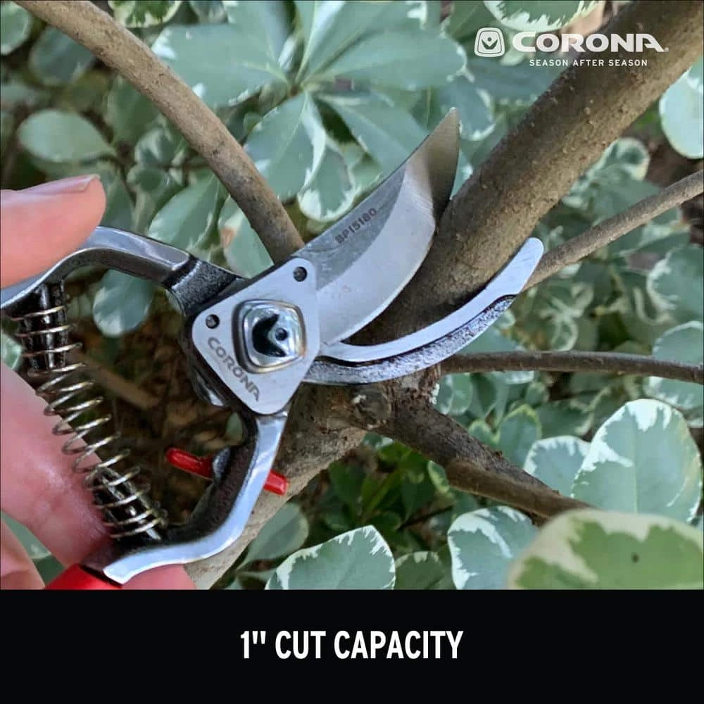 ClassicCUT 2.625 in. High Carbon Steel Blade with Full Steel Core Handles Branch and Stem Pruner by Corona 7 ClassicCUT 2.625 in. High Carbon Steel Blade with Full Steel Core Handles Branch and Stem Pruner by Corona - Image 5