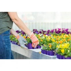 Women's Medium Planter Garden Glove by Digz -GARDEN TOOLS Shop digz gardening gloves 73801 012 1f 1000