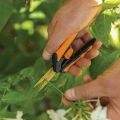 1.75 in. Titanium Coated Microtip Pruning Snip Pruning Shears (2-Pack) by Fiskars 14 1.75 in. Titanium Coated Microtip Pruning Snip Pruning Shears (2-Pack) by Fiskars -GARDEN TOOLS Shop fiskars pruning shears 1067909 a0 1000