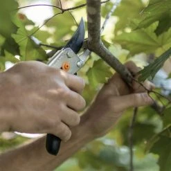 5.5 in. Bypass Pruner by Fiskars 17 5.5 in. Bypass Pruner by Fiskars -GARDEN TOOLS Shop fiskars pruning shears 91099966j 66 1000