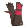 Superior Garden Rose Women's Medium Gloves by G & F Products 2 Superior Garden Rose Women's Medium Gloves by G & F Products -GARDEN TOOLS Shop g f products gardening gloves 2430m 64 1000