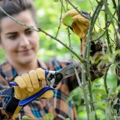 Pedigree 2-1/2 in. Stainless Steel Soft Grip Professional Bypass Secateurs by Unbranded -GARDEN TOOLS Shop hedge shears p40 1000 4f 1000