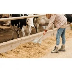 31 in. Wood Handle D-Grip Plastic Scoop Shovel by Husky -GARDEN TOOLS Shop husky shovels 77540 945 44 1000