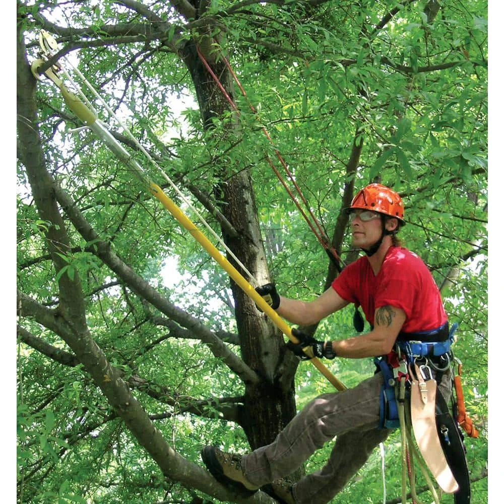 1.25 in. Bypass Pruner with 13 in. Pruning Saw and 2 Fiberglass Poles by Jameson 11 1.25 in. Bypass Pruner with 13 in. Pruning Saw and 2 Fiberglass Poles by Jameson - Image 9