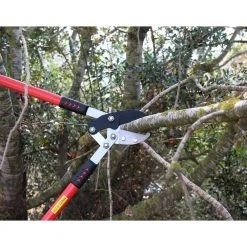 30 in. Tree Trimmer, Branch Cutter with 2 in. Cutting Capacity, Lopper by Unbranded -GARDEN TOOLS Shop loppers b01e5nq2u4 1f 1000