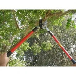 30 in. Tree Trimmer, Branch Cutter with 2 in. Cutting Capacity, Lopper by Unbranded -GARDEN TOOLS Shop loppers b01e5nq2u4 44 1000