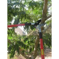 30 in. Tree Trimmer, Branch Cutter with 2 in. Cutting Capacity, Lopper by Unbranded -GARDEN TOOLS Shop loppers b01e5nq2u4 4f 1000