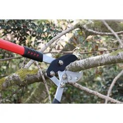 30 in. Tree Trimmer, Branch Cutter with 2 in. Cutting Capacity, Lopper by Unbranded -GARDEN TOOLS Shop loppers b01e5nq2u4 76 1000