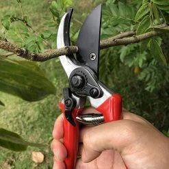 8 in. Professional Sharp Bypass Pruners, Lopper by Unbranded -GARDEN TOOLS Shop loppers b01hhk9jg6 44 1000