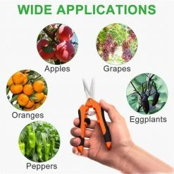 6.5 in. Pruning Shears Orange Gardening Hand Pruning Snips with Straight Stainless Steel Precision Blades (3-Packs) by Unbranded -GARDEN TOOLS Shop pruning shears b076hl5jjm fa 1000