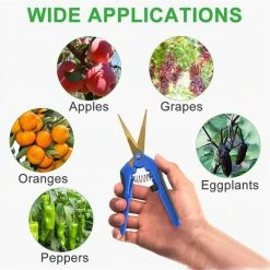 6.5 in. Pruning Shears Blue Gardening Hand Pruning Snips with Straight Stainless Steel Precision Blades (3-Packs) by Unbranded 13 6.5 in. Pruning Shears Blue Gardening Hand Pruning Snips with Straight Stainless Steel Precision Blades (3-Packs) by Unbranded -GARDEN TOOLS Shop pruning shears b07p433b1s fa 1000