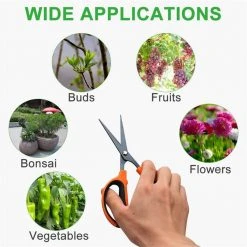 7.2 in. Trimming Scissors Teflon Coated Non Stick Blades Pruning Shears Gardening Hand Pruning Snips 6 Packs by Dyiom 13 7.2 in. Trimming Scissors Teflon Coated Non Stick Blades Pruning Shears Gardening Hand Pruning Snips 6 Packs by Dyiom -GARDEN TOOLS Shop pruning shears b07w3slnyh 44 1000