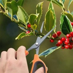 7.2 in. Trimming Scissors Teflon Coated Non Stick Blades Pruning Shears Gardening Hand Pruning Snips 6 Packs by Dyiom 15 7.2 in. Trimming Scissors Teflon Coated Non Stick Blades Pruning Shears Gardening Hand Pruning Snips 6 Packs by Dyiom -GARDEN TOOLS Shop pruning shears b07w3slnyh 76 1000