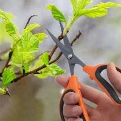 7.2 in. Trimming Scissors Teflon Coated Non Stick Blades Pruning Shears Gardening Hand Pruning Snips 6 Packs by Dyiom 14 7.2 in. Trimming Scissors Teflon Coated Non Stick Blades Pruning Shears Gardening Hand Pruning Snips 6 Packs by Dyiom -GARDEN TOOLS Shop pruning shears b07w3slnyh fa 1000