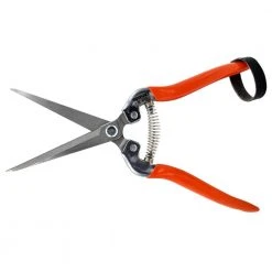Extra-Long Harvest Shear with 3.25 in. Cutting Blade, Box of 12 by ZENPORT:Zenport