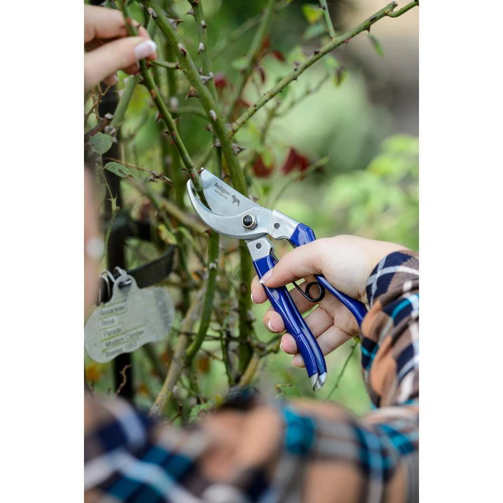 Pedigree 2 in. High Carbon Steel Soft Grip Bypass Shears by Unbranded 4 Pedigree 2 in. High Carbon Steel Soft Grip Bypass Shears by Unbranded - Image 2