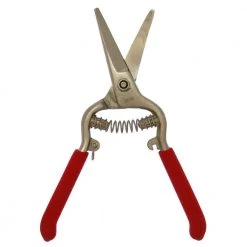 Needlenose Shear, Grape, 8 in. Heavy Duty Forged Steel Curved Blade (Box of 3) by ZENPORT:Zenport