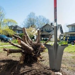 44.5 in. Fiberglass Handle 57.5 in. Root Slayer Carbon Steel XL Shovel by Radius Garden -GARDEN TOOLS Shop radius garden shovels 22511 21 44 1000