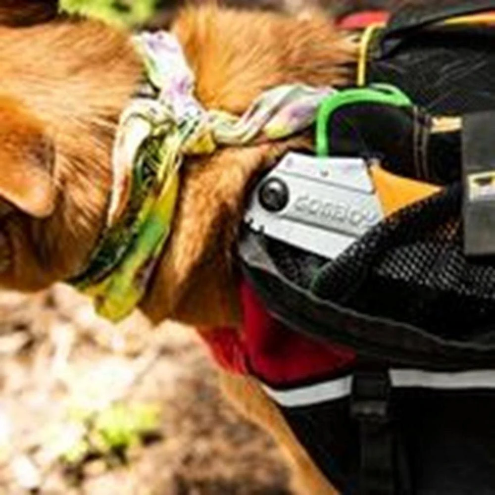 Gomboy 300 mm Curve Large Teeth Professional Saw by Silky 4 Gomboy 300 mm Curve Large Teeth Professional Saw by Silky - Image 2