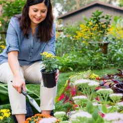 Wheelie Scoot with Comfort Cushion, Quality Utility Work Stool with Height Adjustable Seat by TheXceptional -GARDEN TOOLS Shop thexceptional garden carts ex520 76 1000