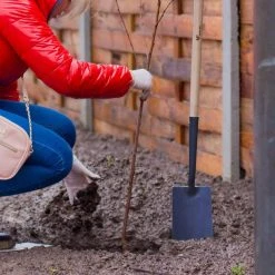 47 in. Wood Handle Curve Edge Carbon Steel Spade Shovel by Worth Garden -GARDEN TOOLS Shop worth garden shovels t589a00 1f 1000