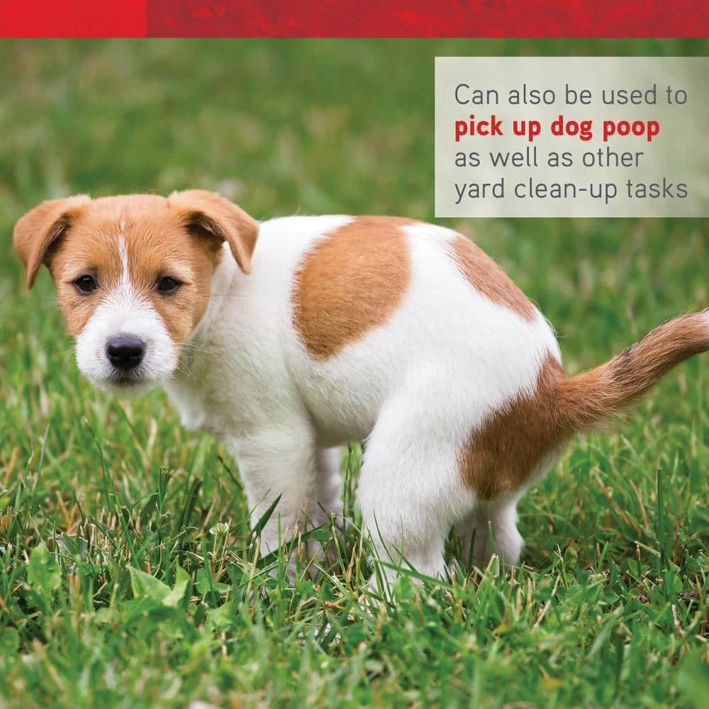 2-Piece Multi-Purpose Scoop and Rake Garden Tool Set by ALTERRA 9 2-Piece Multi-Purpose Scoop and Rake Garden Tool Set by ALTERRA - Image 7