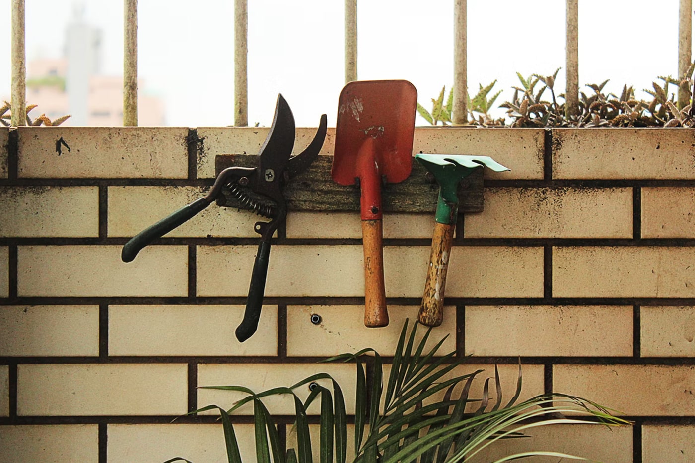 GARDEN TOOLS Shop -GARDEN TOOLS Shop 364