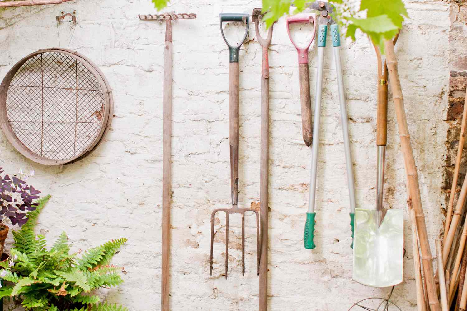 GARDEN TOOLS Shop -GARDEN TOOLS Shop 45653